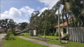 Irma1