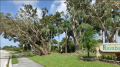 Irma_004